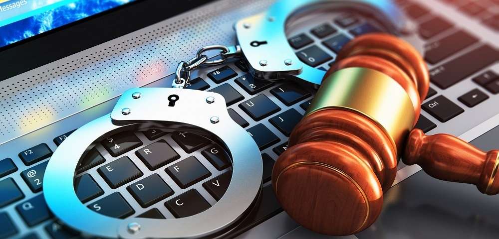 Cybercrime cops and the regulation